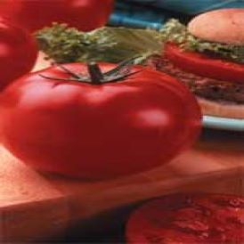 Big Beef Tomato Product Image